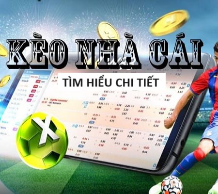 Tỷ Lê Kèo – Betting Odds Percentage Guide