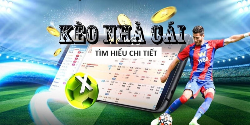 Tỷ Lê Kèo - Betting Odds Percentage Guide